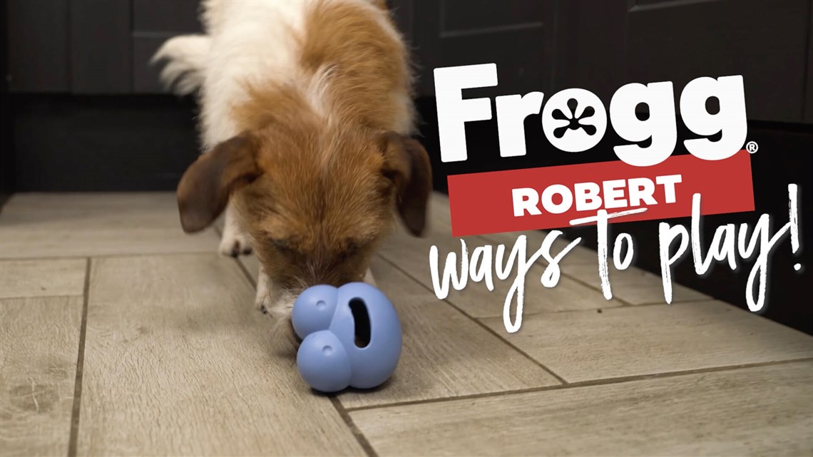 Instinct-Stimulating Dog Toys : Flevo Bowly