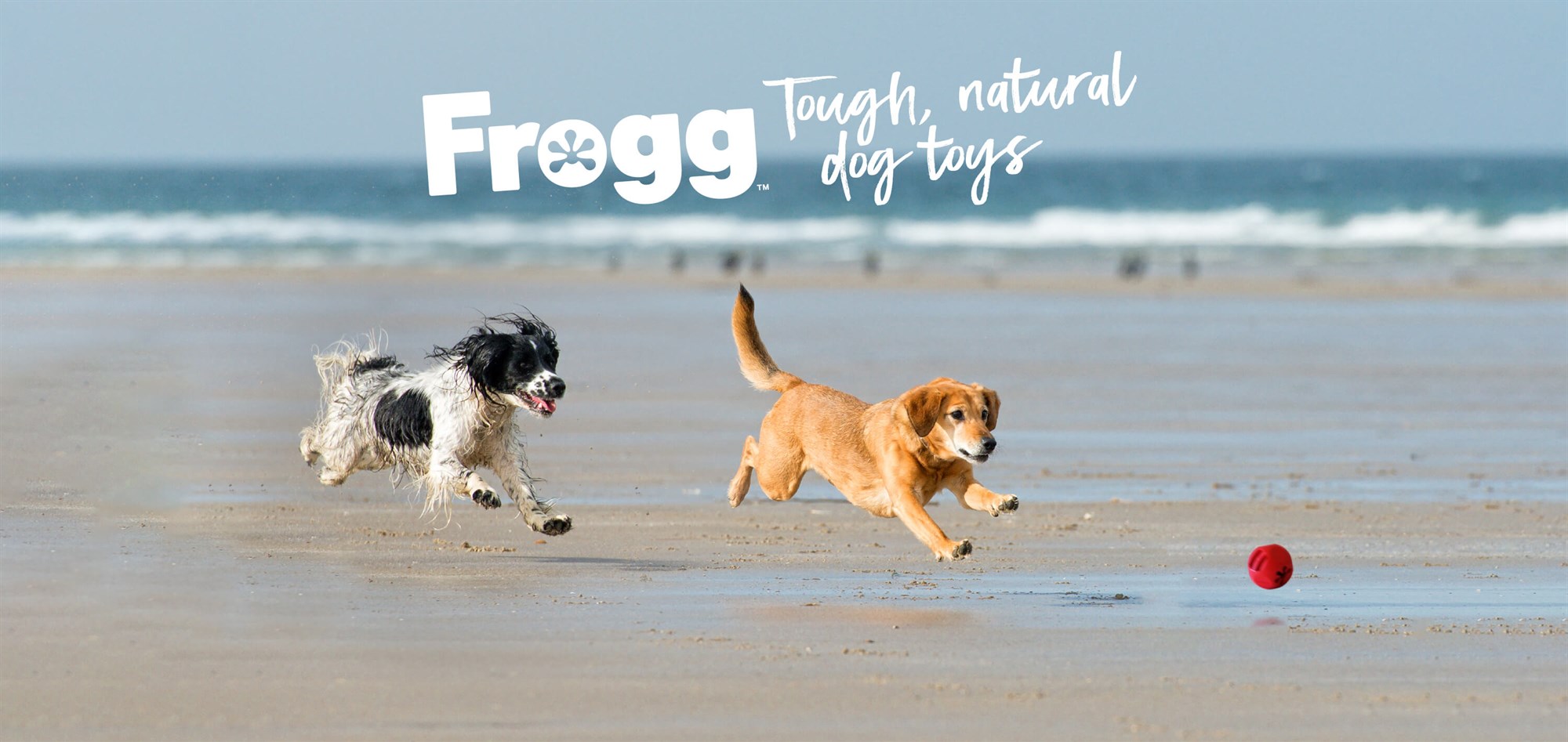 The Brick  Frogg Tough Natural Dog Toys